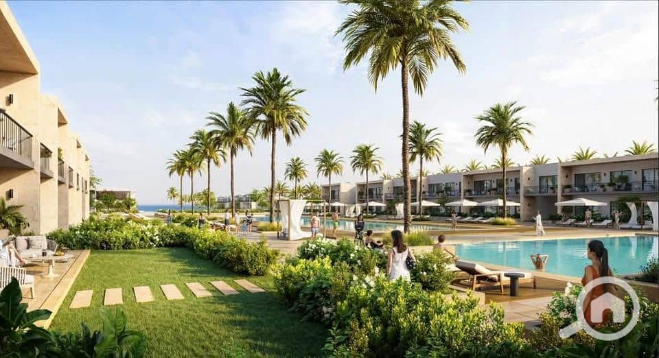 2 485979480_1210917893992849_6403745385198209637_n. jpg