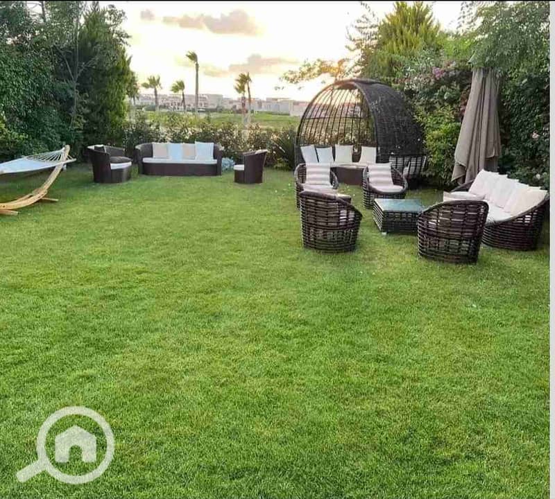 1000493539. jpg 1000493539. jpg