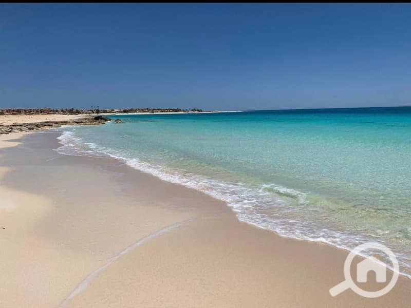 4 WhatsApp Image 2025-06-24 at 5.55. 14 PM. jpeg