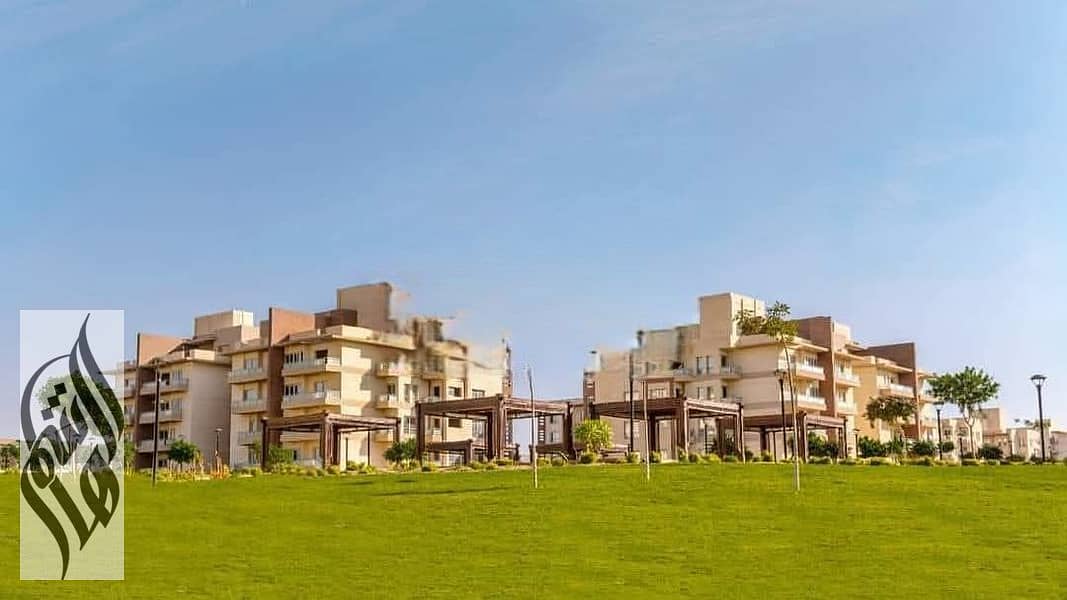 4 28323010-800x600-Photoroom. png