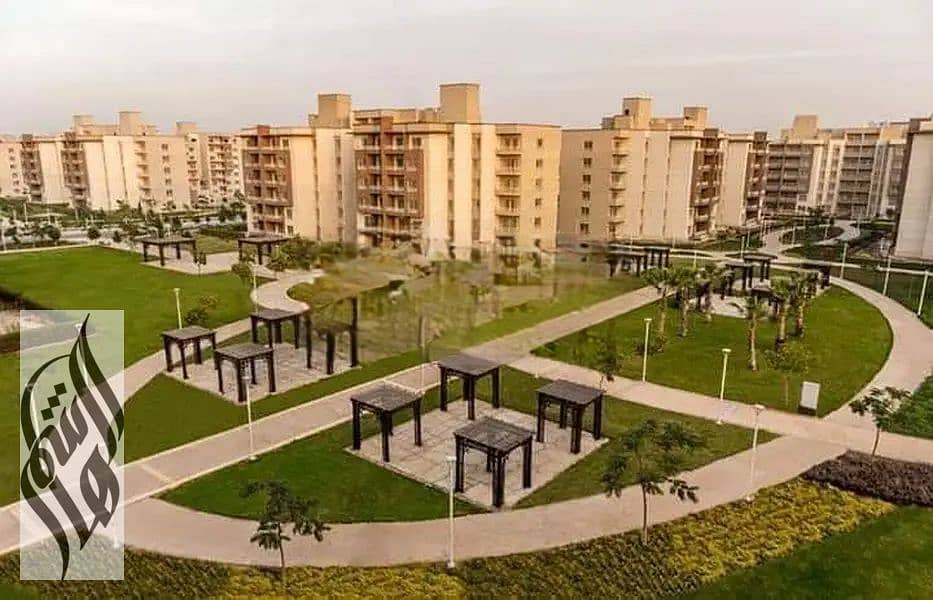 5 28323018-800x600-Photoroom. png