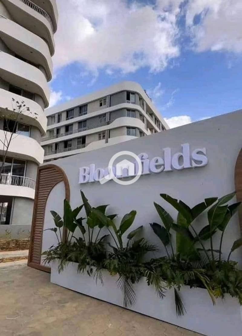 3 WhatsApp Image 2025-09-24 at 1.52. 13 AM (1). jpeg