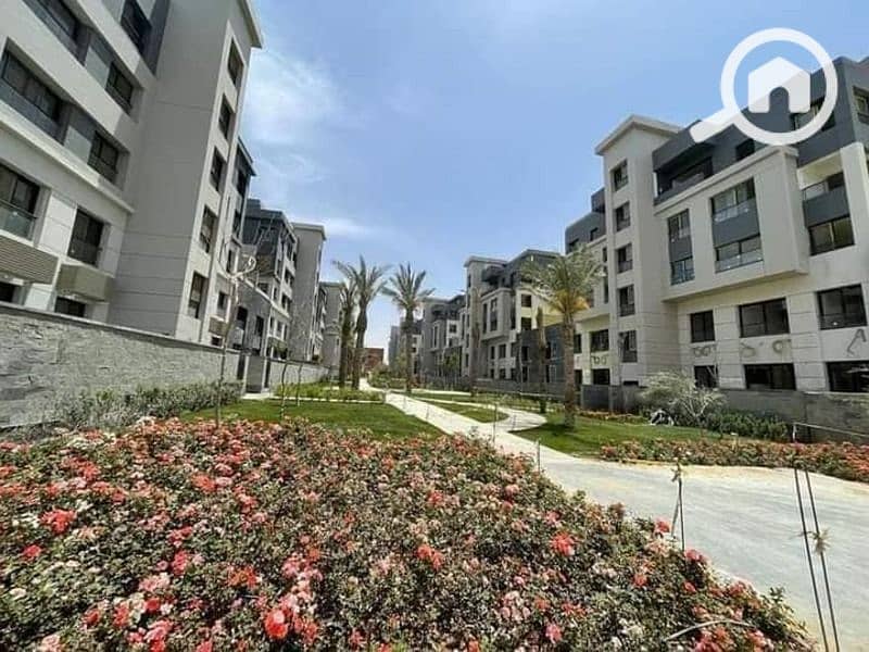 6 WhatsApp Image 2025-10-15 at 3.28. 22 AM. jpeg