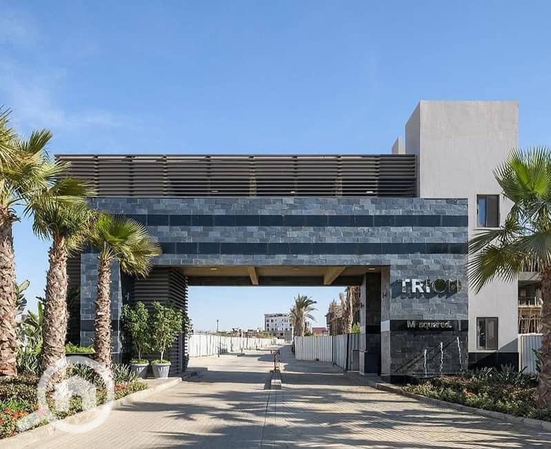 12 WhatsApp Image 2025-10-15 at 3.31. 11 AM (1). jpeg