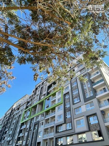 7 e7c89672-8bdc-48b9-992f-2bff584a9f2a. jpeg