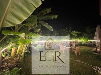 3 Bedroom Apartment for Rent in Madinaty, Cairo - aeda9977-f14e-4fc3-a912-01886eb215cb. jpg