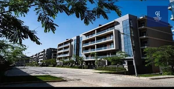 6 556672929_122180260304547524_2514571727084240688_n. jpg