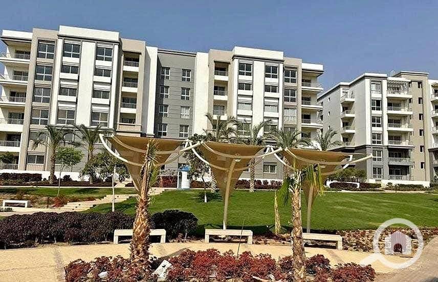 6 467124845_416370238207028_8343026267498192468_n. jpg