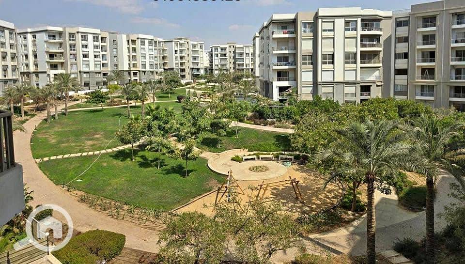 10 564708900_607459045690426_8657377483856525952_n. jpg