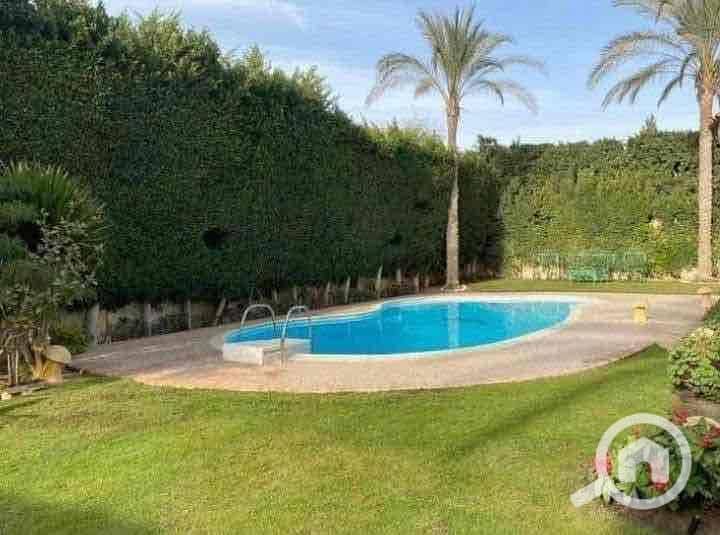 7 35f68dac-e3f5-4991-a676-d1dbda3338ec. jpg