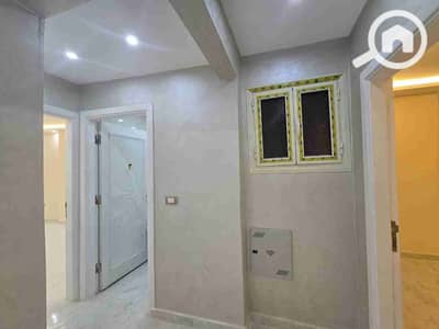 3 Bedroom Flat for Rent in Zamalek, Cairo - 1000212839. jpg