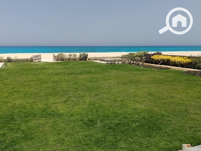 10 341018773_694014219142714_6202308944724928850_n. jpg