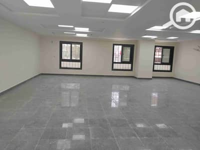 Office for Rent in Nasr City, Cairo - 1000042789. jpg Office for Rent in Nasr City, Cairo - 1000042789. jpg