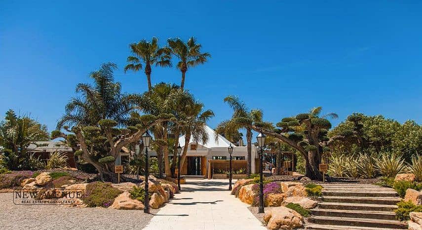 WhatsApp Image 2025-10-15 at 4.37. 23 PM (1). jpeg WhatsApp Image 2025-10-15 at 4.37. 23 PM (1). jpeg