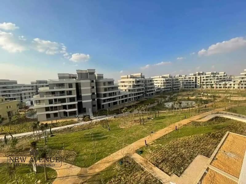 4 WhatsApp Image 2025-10-15 at 4.28. 57 PM. jpeg