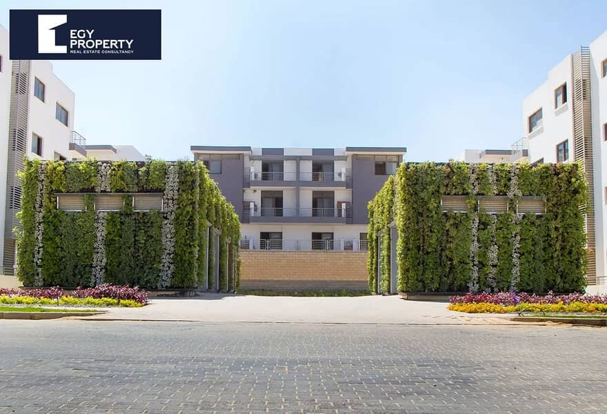 7 20c0e7ca-386f-47b9-adae-e0d7010c0e87. jpg