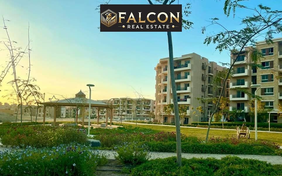 6 9596358c-ea63-4a0d-b437-8f37991eb2b2. jpg