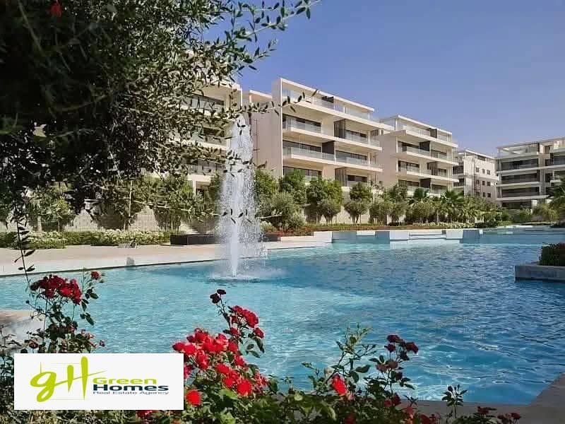 11 530594077_122123997788923221_106163490882446994_n. jpg