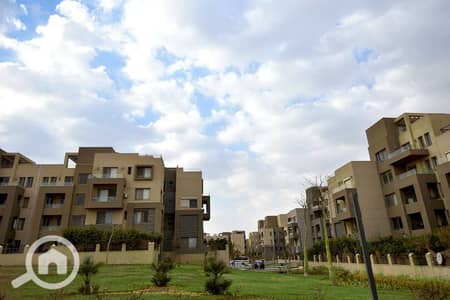 فلیٹ 1 غرفة نوم للايجار في القاهرة الجديدة، القاهرة - WhatsApp Image 2024-10-16 at 12.00. 47 PM. jpeg