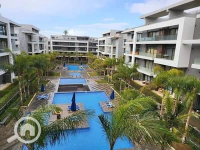 3 Bedroom Flat for Sale in New Cairo, Cairo - WhatsApp Image 2025-10-16 at 11.26. 03 AM. jpeg 3 Bedroom Flat for Sale in New Cairo, Cairo - WhatsApp Image 2025-10-16 at 11.26. 03 AM. jpeg