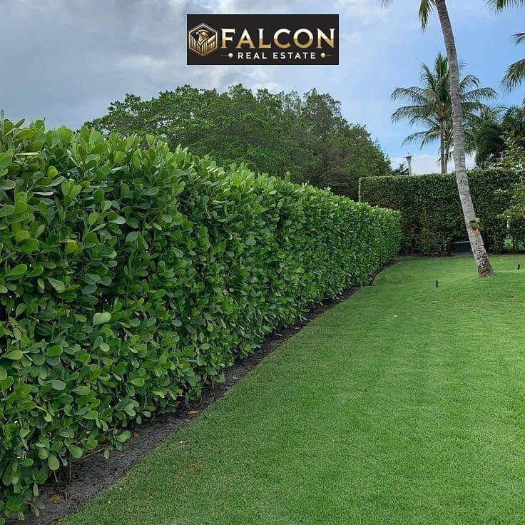 8 550575700_122130977228944771_6578376308351062808_n. jpg