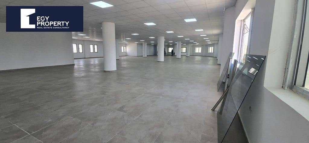 6 _files_2a3801e0-d3e6-47e5-ab65-8621768d6b7d. jpeg