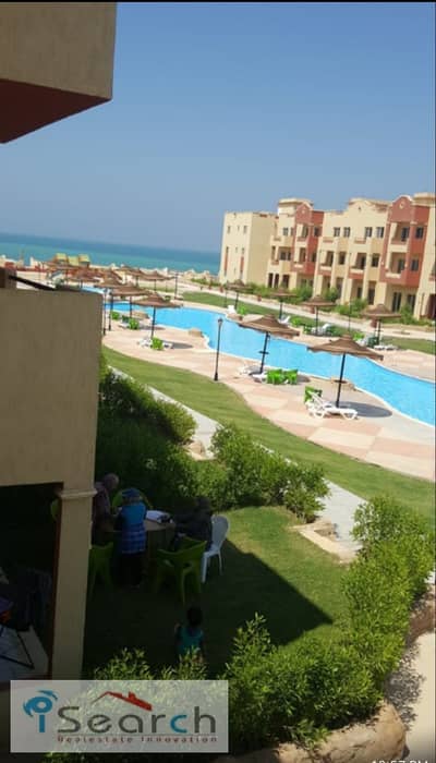 شاليه 2 غرفة نوم للبيع في راس سدر، جنوب سيناء - WhatsApp Image 2025-10-16 at 13.57. 52_0eddb17d. jpg