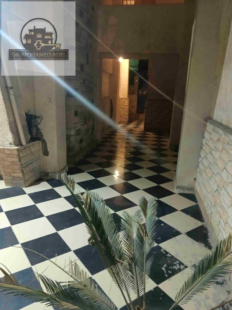 48 1000015465. jpg