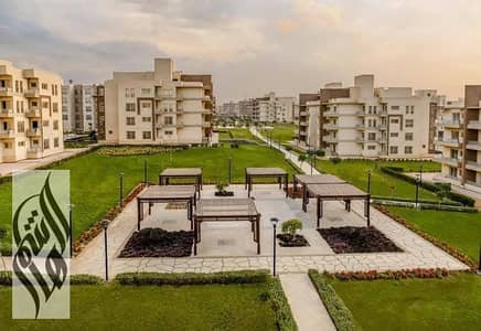 3 Bedroom Apartment for Sale in Shorouk City, Cairo - 550205445_1099102675745194_2630376722168913504_n. jpg