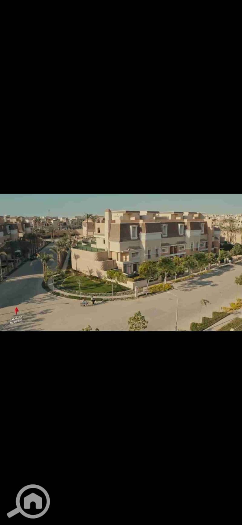 8 1000371434. jpg