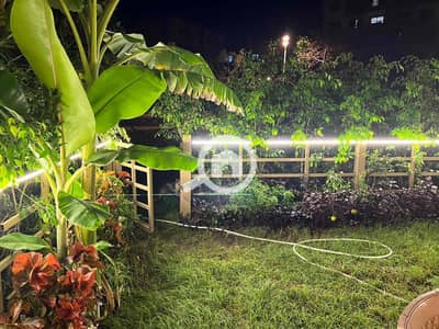 2 Bedroom Apartment for Rent in Madinaty, Cairo - aa65a46d-9d3b-4c04-b4ab-13ba399b5af5. jpg