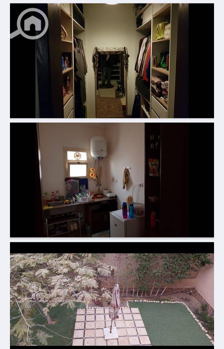 10 1000254947. png