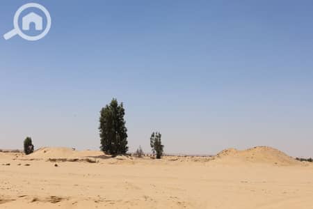 أرض سكنية  للبيع في 6 أكتوبر، الجيزة - IMG_0229. JPG