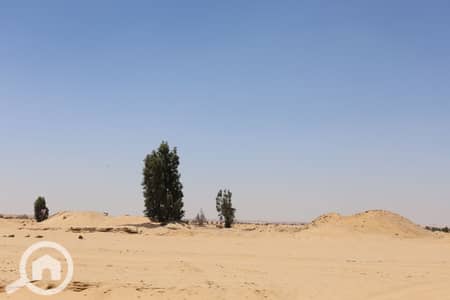 أرض سكنية  للبيع في 6 أكتوبر، الجيزة - IMG_0229. JPG