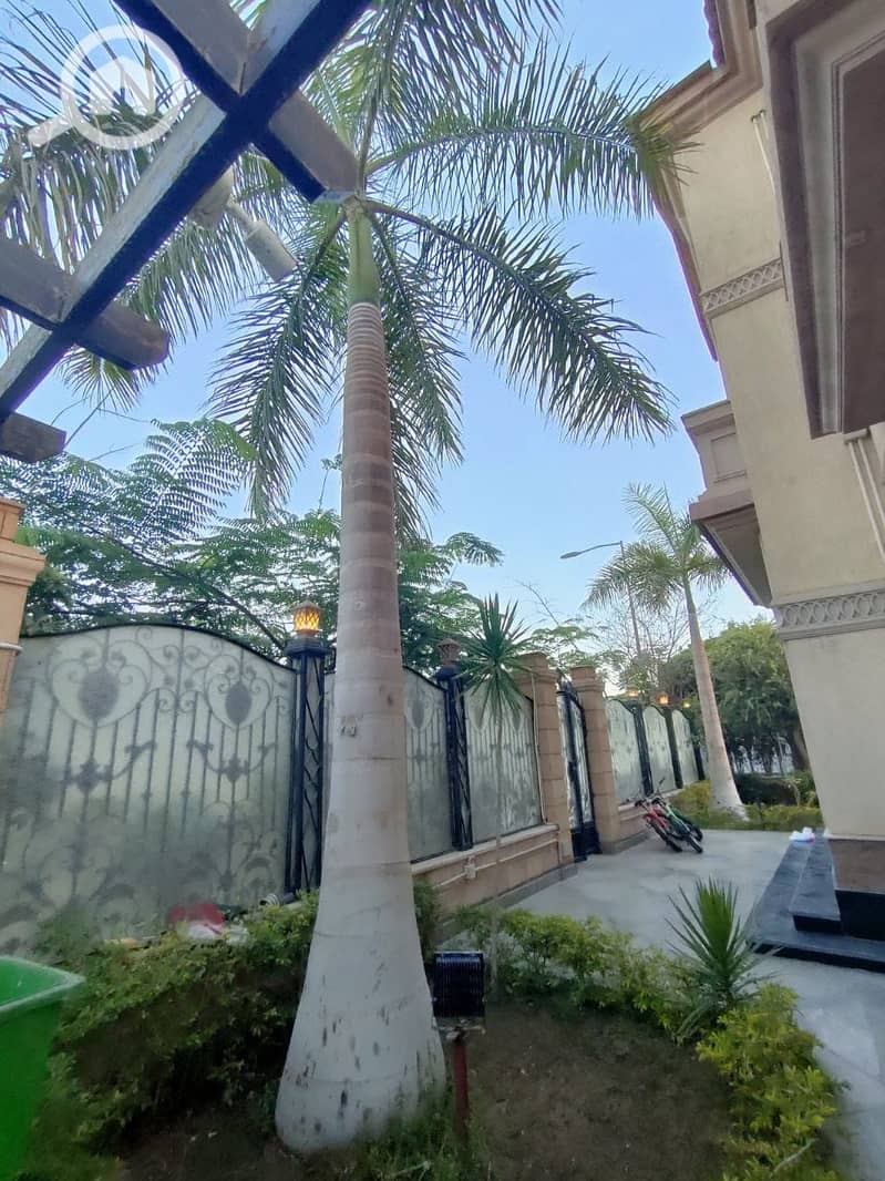 15 WhatsApp Image 2025-10-16 at 10.58. 06 AM. jpeg