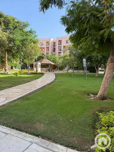 3 Bedroom Apartment for Rent in New Cairo, Cairo - 6145e30f-01af-4e68-bd76-d971918e2687. jpg