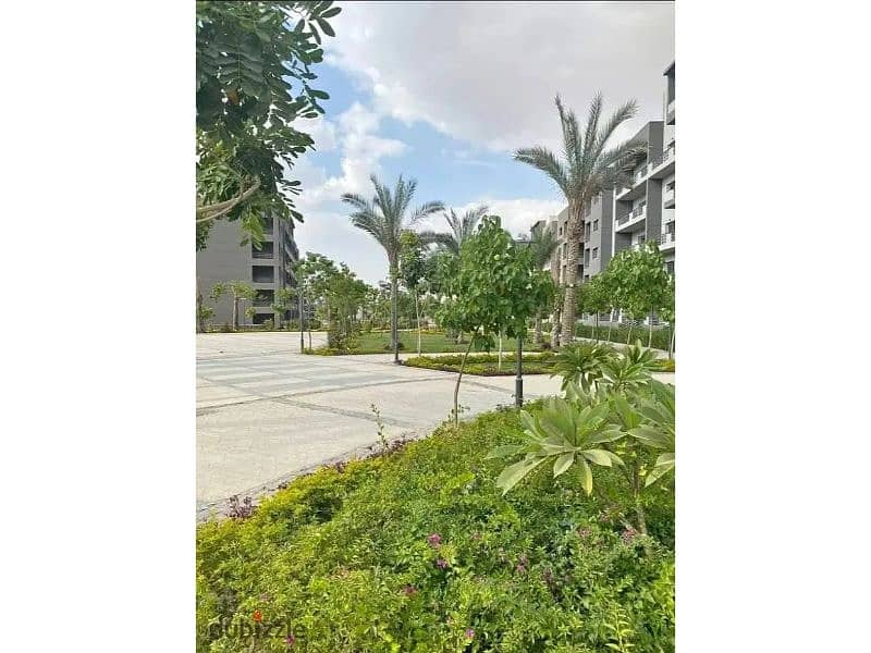 6 148476589-800x600. jpg