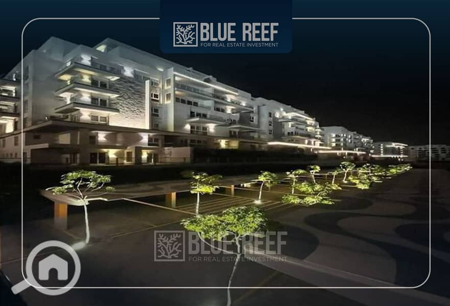 6 Bluereef  - Templete. psdsdfcv fghjk. jpg