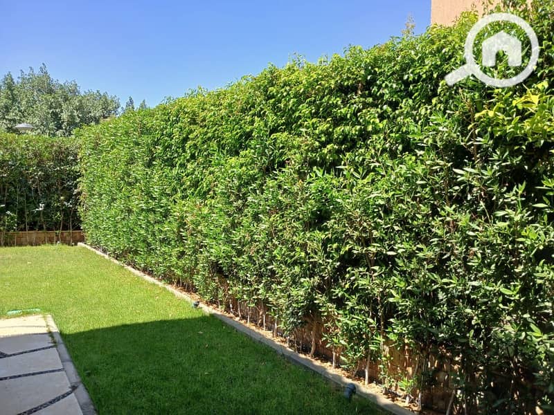 22 850ead66-33ab-46d1-ac99-f1c8c72edbc8. jpeg