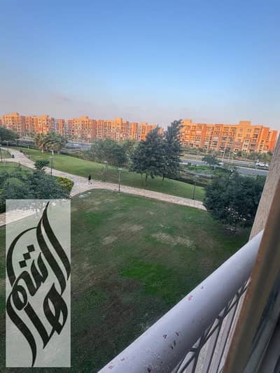3 Bedroom Flat for Rent in Madinaty, Cairo - WhatsApp Image 2025-10-16 at 14.51. 53_39846fcb. jpg