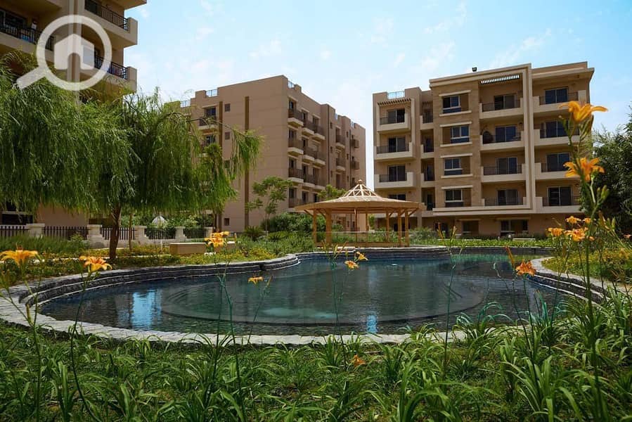 8 WhatsApp Image 2025-09-16 at 7.14. 50 PM (2). jpeg