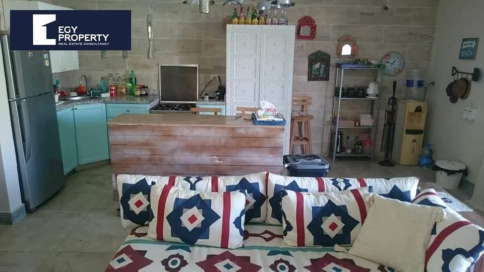 8 _files_WhatsApp Image 2025-06-29 at 21.17. 17_62a120f4. jpg