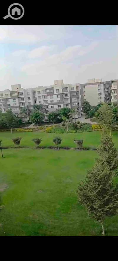 3 Bedroom Flat for Rent in Madinaty, Cairo - 1000371506. jpg