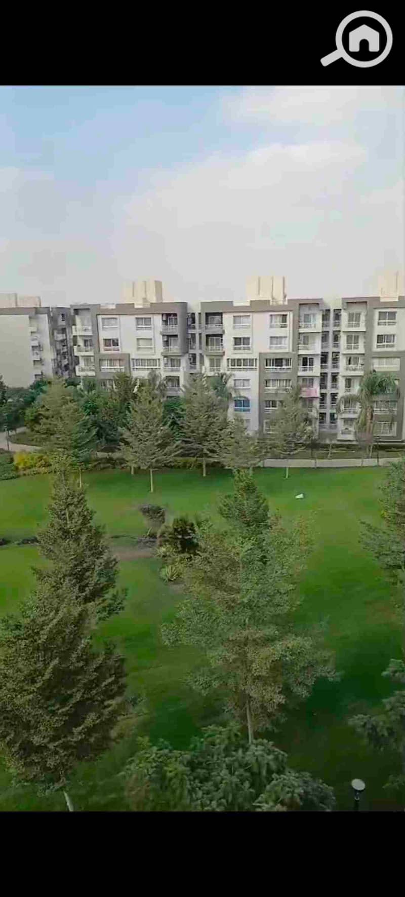 9 1000371503. jpg