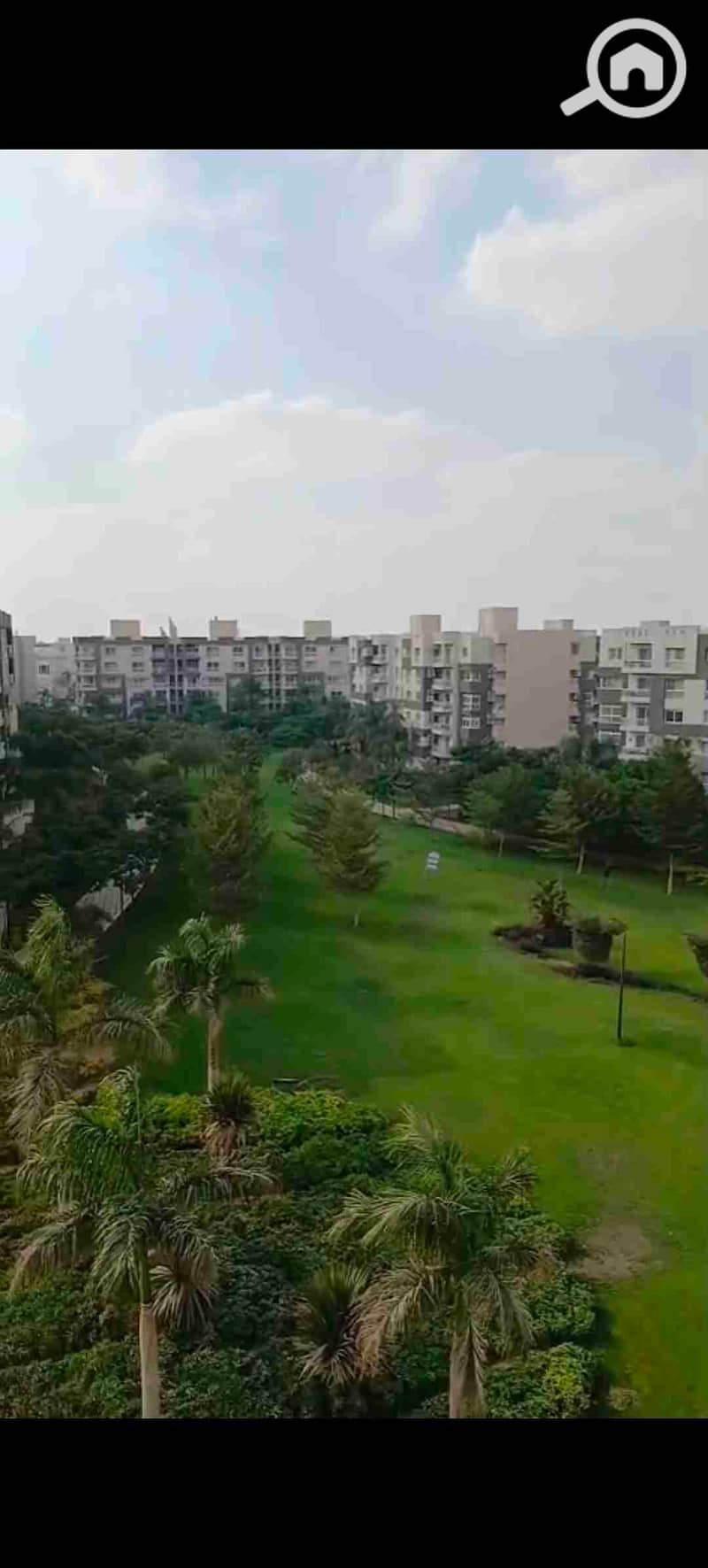 25 1000371525. jpg
