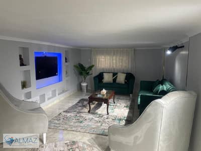 Studio for Rent in Nasr City, Cairo - WhatsApp Image 2025-10-16 at 1.56. 04 PM (1). jpeg