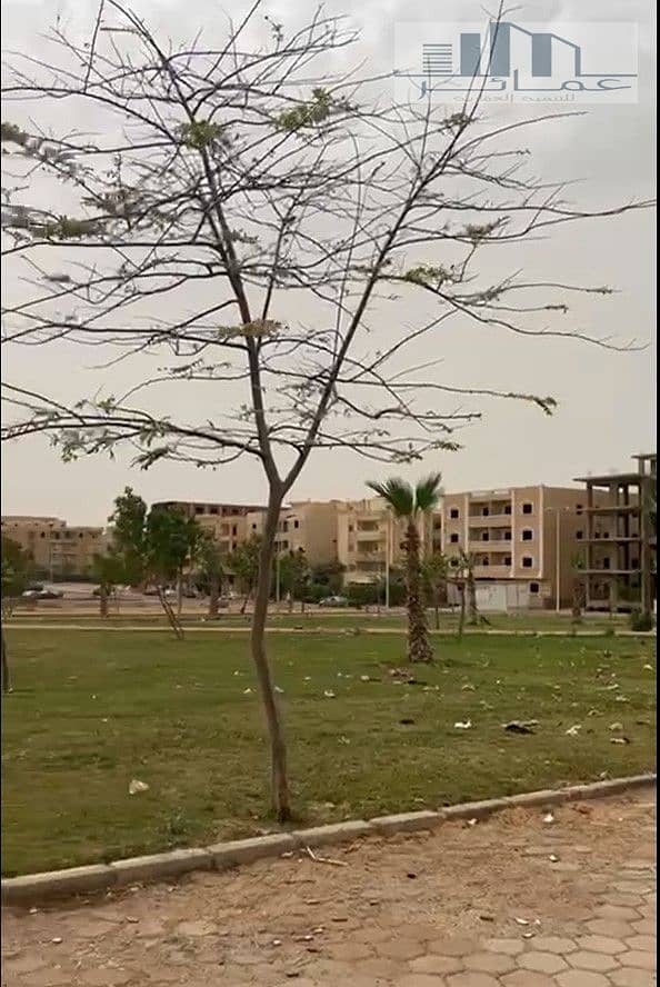5 5. jpg