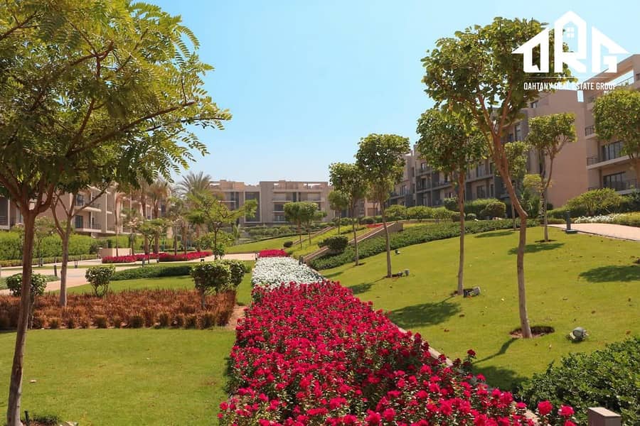 5 WhatsApp Image 2025-10-16 at 6.47. 35 AM (1). jpeg