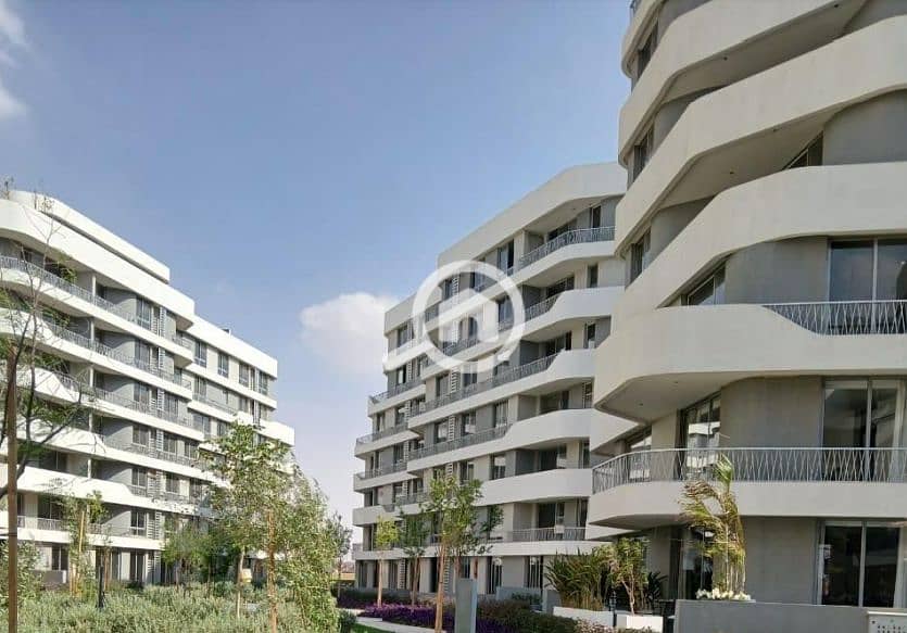 4 bloomfieds (6). png