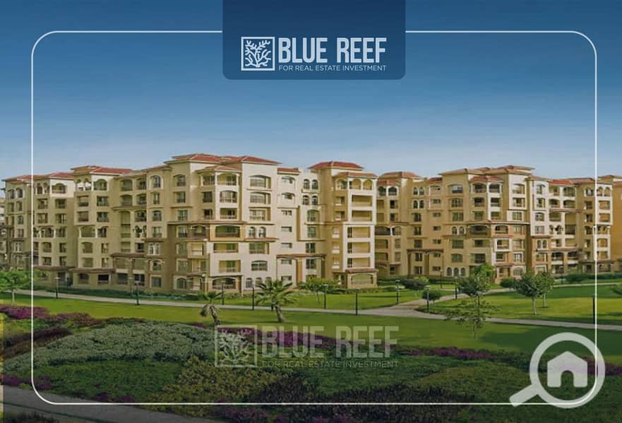 3 Bluereef - Templete. psdsdfcv بببي. jpg